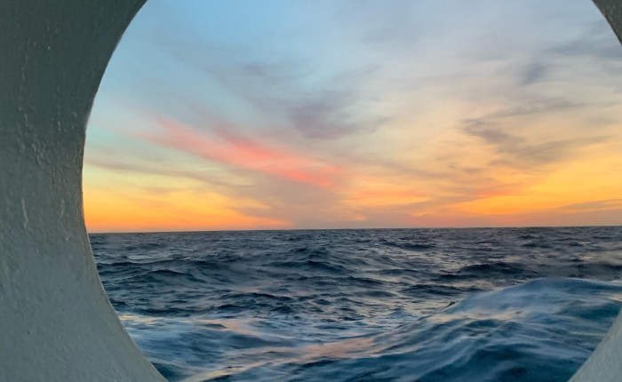 INTERNSHIP ~ Week 4. 🚢&nbsp;⚓️✌🏻