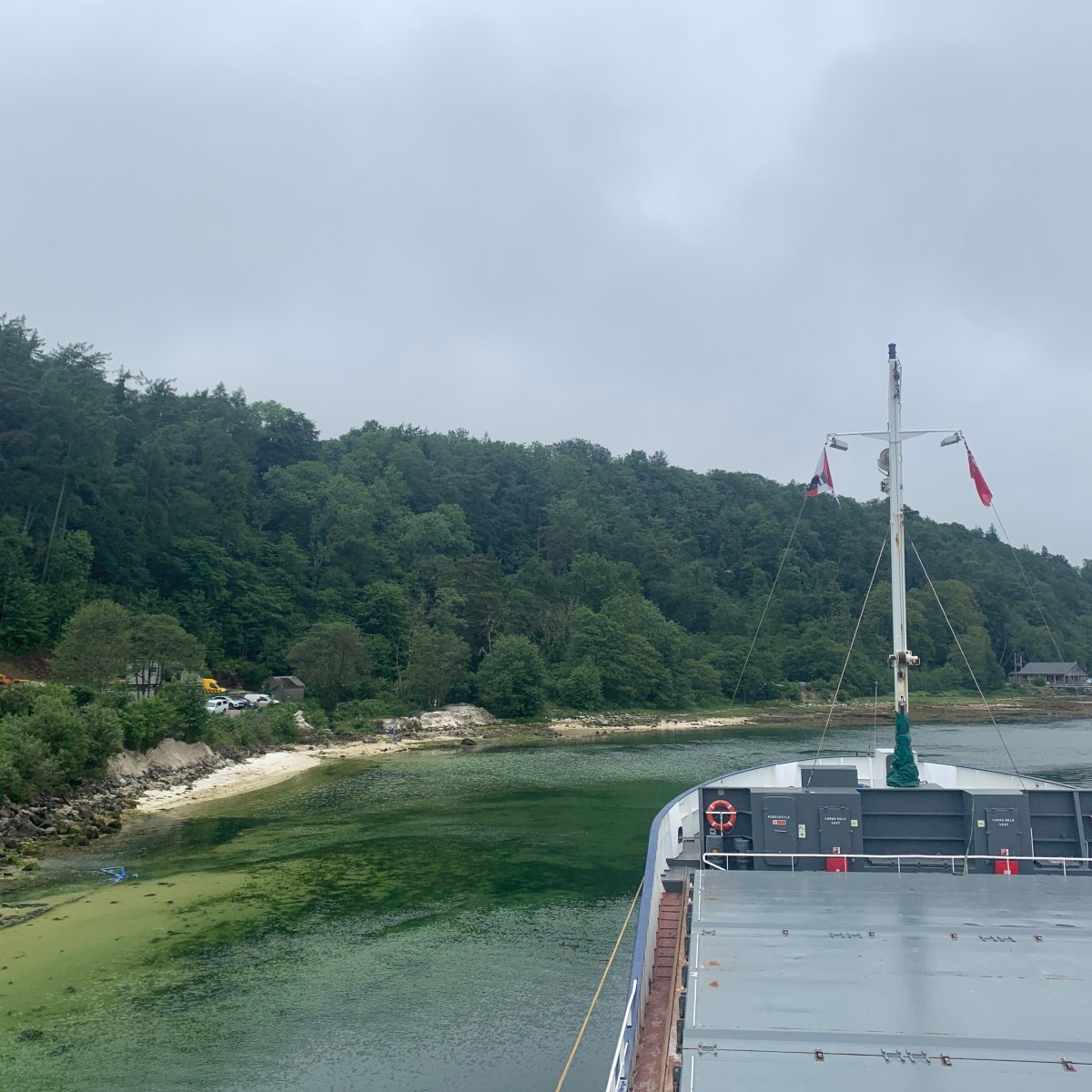 7th term, week 5&nbsp;🤩